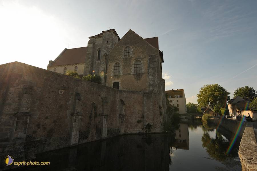 Nom de l'image : D30059204_1_(c)Norbert-JUNG — Description :